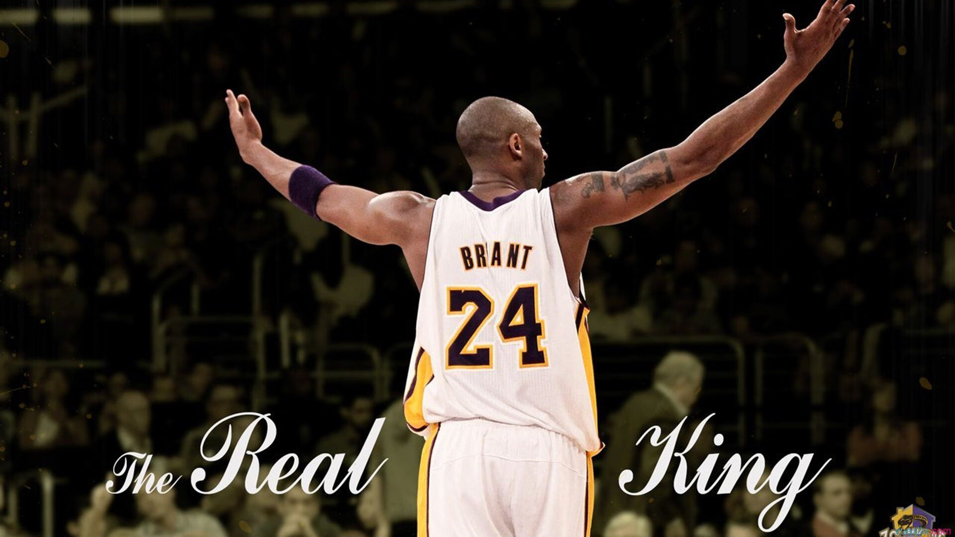 当喧嚣散尽，克莱·汤普森与那道无声的墙